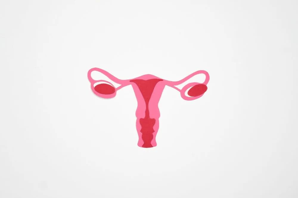 Gynecological health and reproductive issues