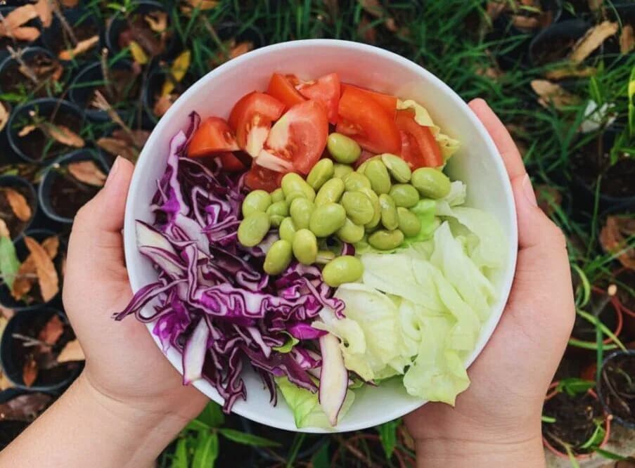 Nutrition and Healthy Eating During Pregnancy and Postpartum: A Guide for Expectant and New Mothers
