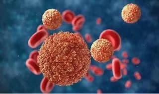 Zika virus: Causes, Prevention and Management