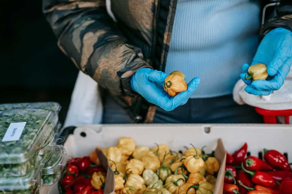 Protecting Public Health: Combating the Dual Challenge of Pesticide Contamination in Nepalese Vegetables
