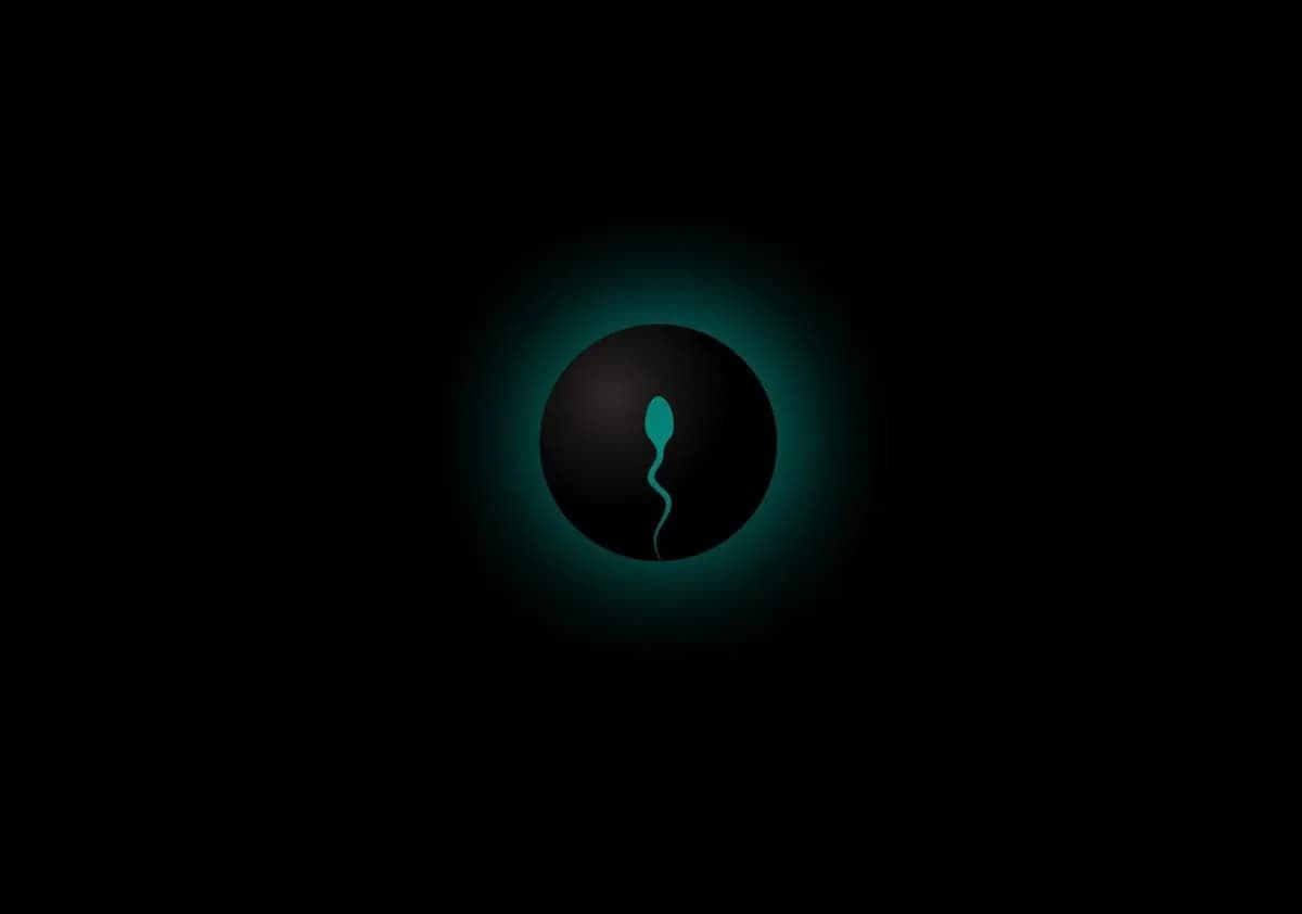 The Semen Microbiome and Its Impact on Male Fertility