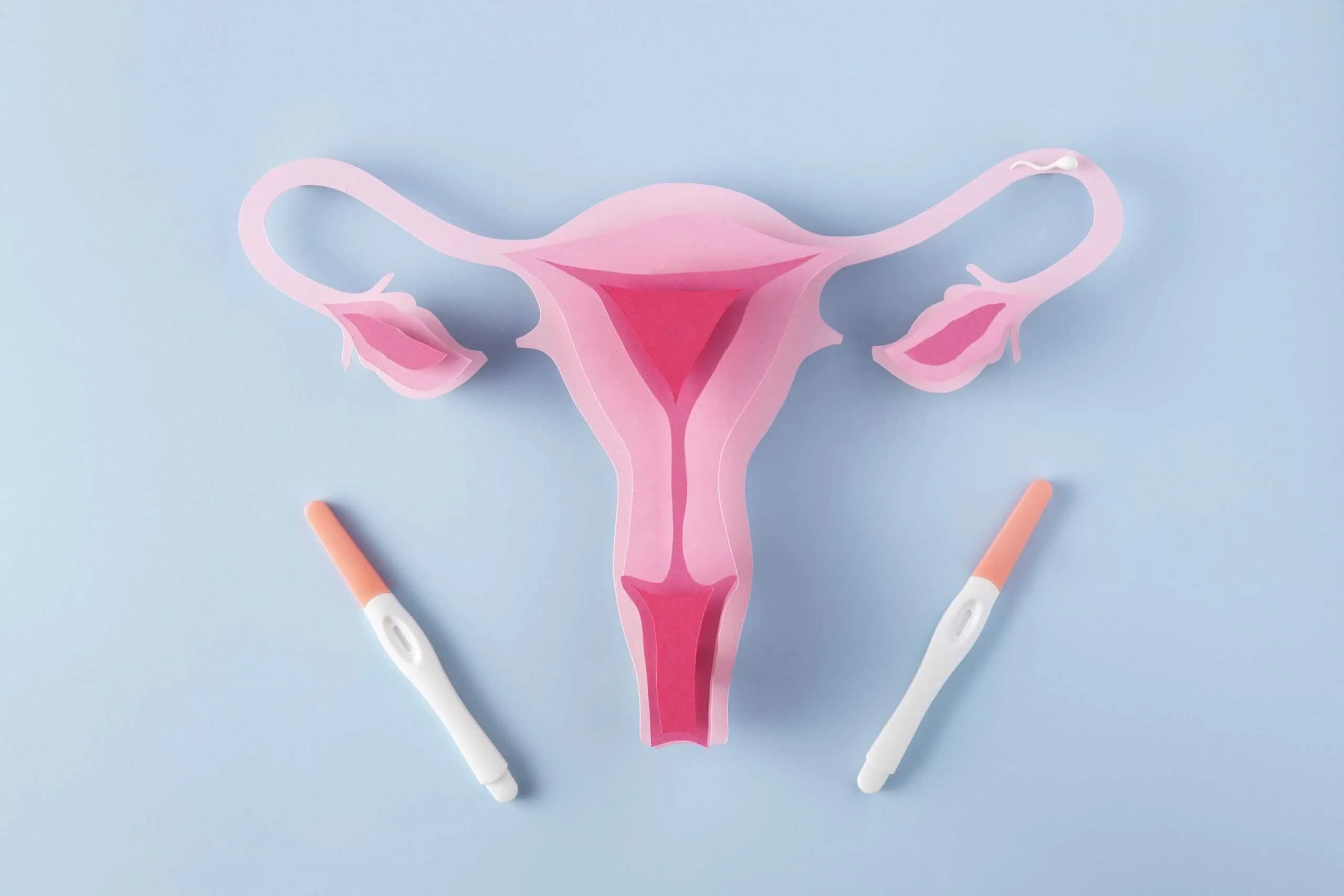 Tubal Blockages and Infertility: Understanding Causes, Diagnosis, and Treatment Options